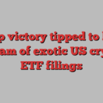 Trump victory tipped to break logjam of exotic US crypto ETF filings