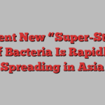 Virulent New “Super-Strain” of Bacteria Is Rapidly Spreading in Asia