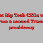 What Big Tech CEOs want from a second Trump presidency