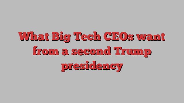 What Big Tech CEOs want from a second Trump presidency