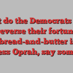 What do the Democrats need to reverse their fortunes? More bread-and-butter issues, less Oprah, say some