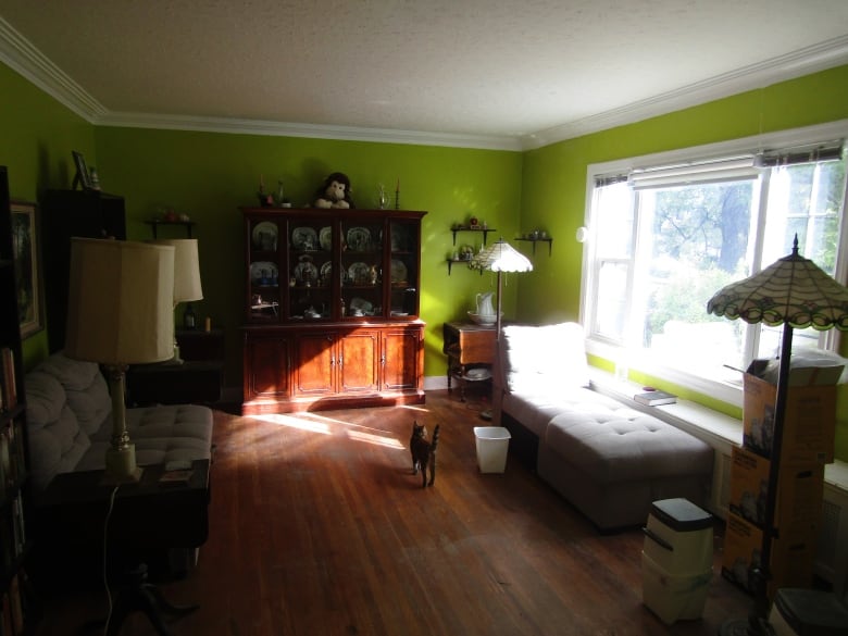 A living room with bright green walls and big windows letting the sunshine in. 