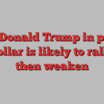 With Donald Trump in power, the dollar is likely to rally but then weaken