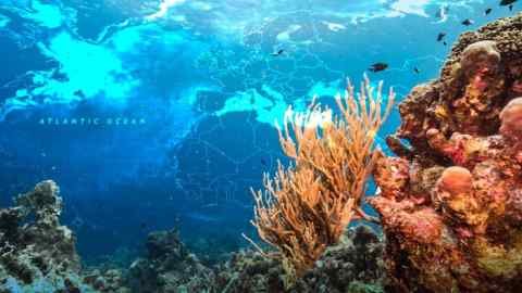 Montage image of the sea bed and a map with the Atlantic Ocean on it