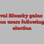 X rival Bluesky gains 1.25 million users following U.S. election