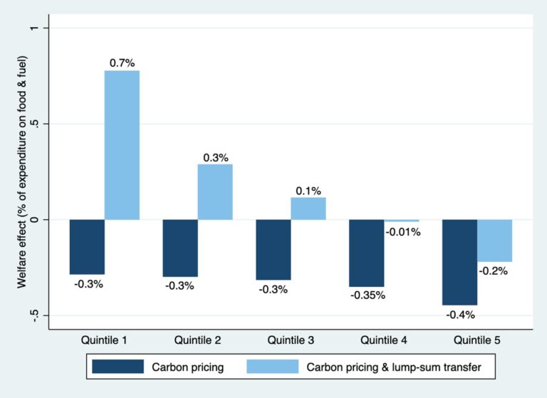 Carbon pricing in Uganda only an option with revenue redistribution, says study