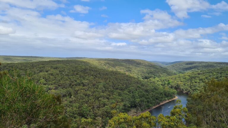 215 million hectares of forest—an area bigger than Mexico—could grow back by itself, if we can just leave it alone