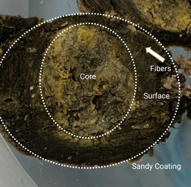 Scientists uncover their complex composition