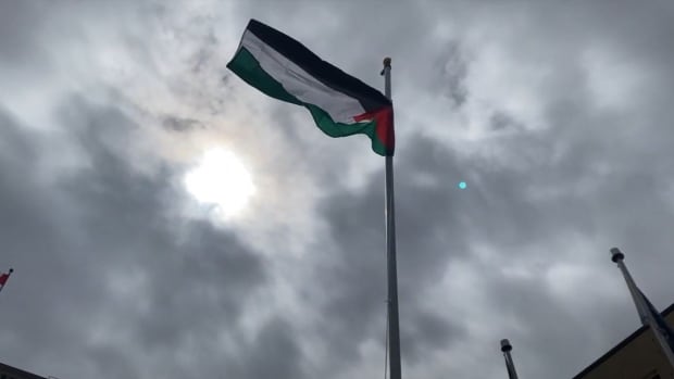 palestine-flag-winnipeg.JPG