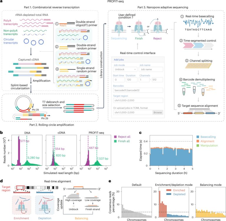 RNA sequencing approach offers real-time and programmable transcriptome sequencing