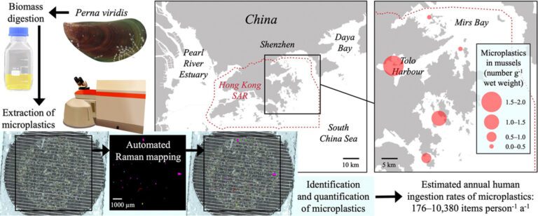 Assessing impacts of microplastics on marine ecosystems and human health