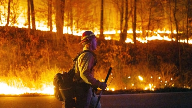 UN climate talks haven’t improved Earth’s climate prognosis in 3 years